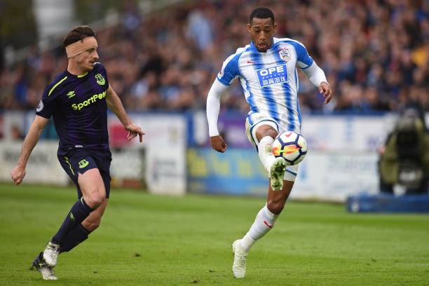 着类似于维 着类似于维